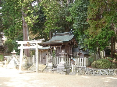 f0000521_333138.jpg