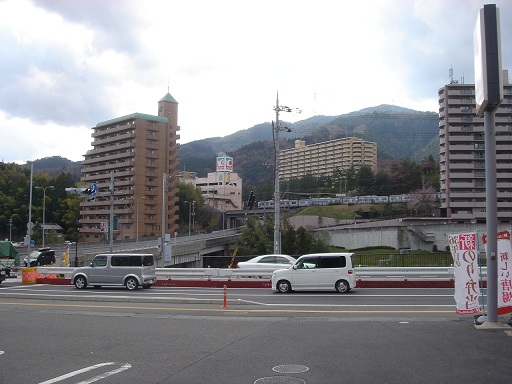 f0000521_534224.jpg