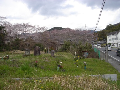 f0000521_639127.jpg