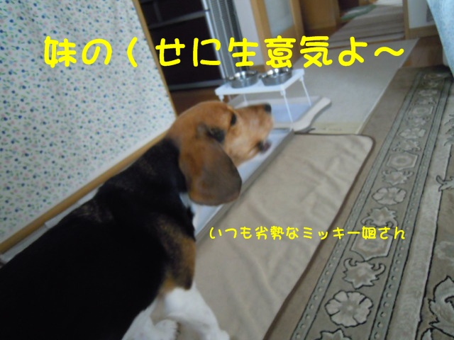 c0166622_14302685.jpg