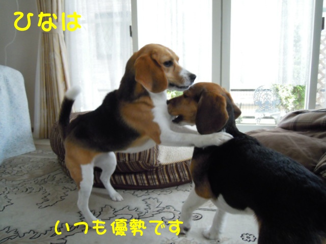 c0166622_14303797.jpg