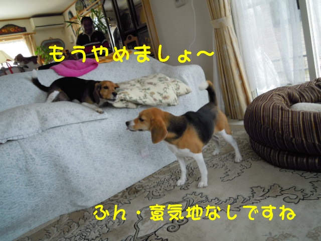 c0166622_1431770.jpg