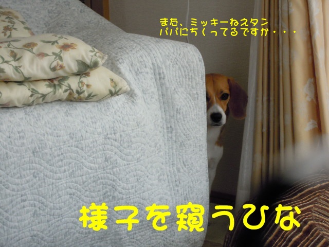 c0166622_1437265.jpg