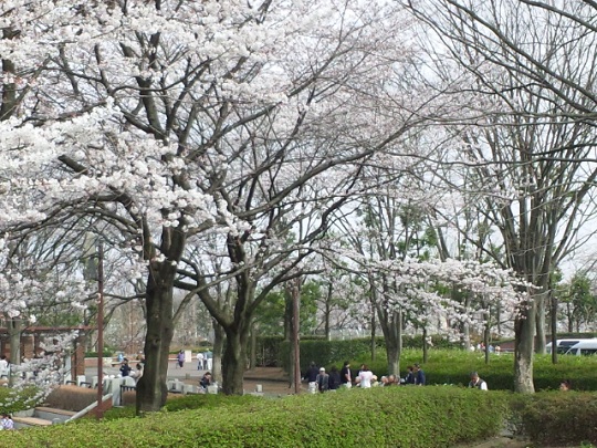 b0199924_13435950.jpg