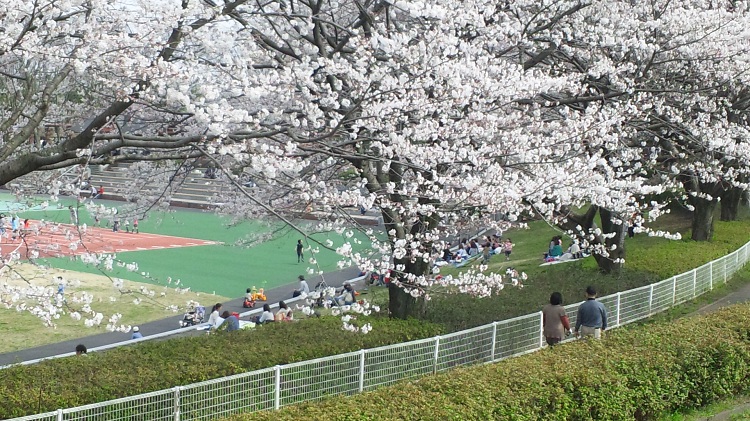 b0199924_13441877.jpg