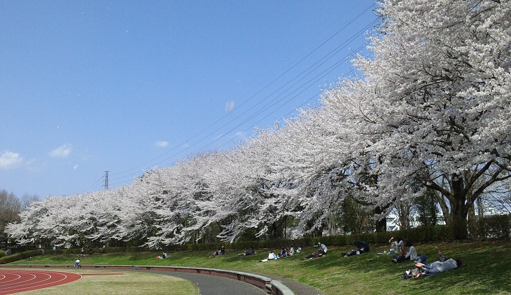 b0199924_13442630.jpg