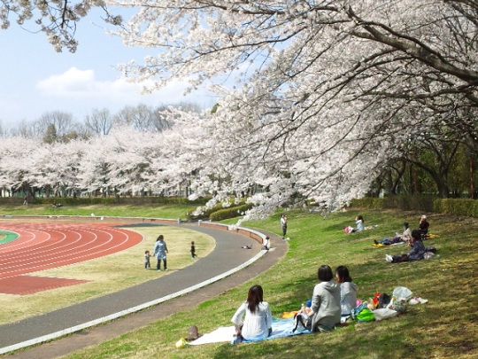 b0199924_1344406.jpg