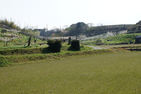 f0007926_948534.jpg