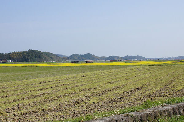 f0007926_9545786.jpg
