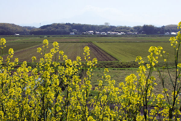 f0007926_9574678.jpg