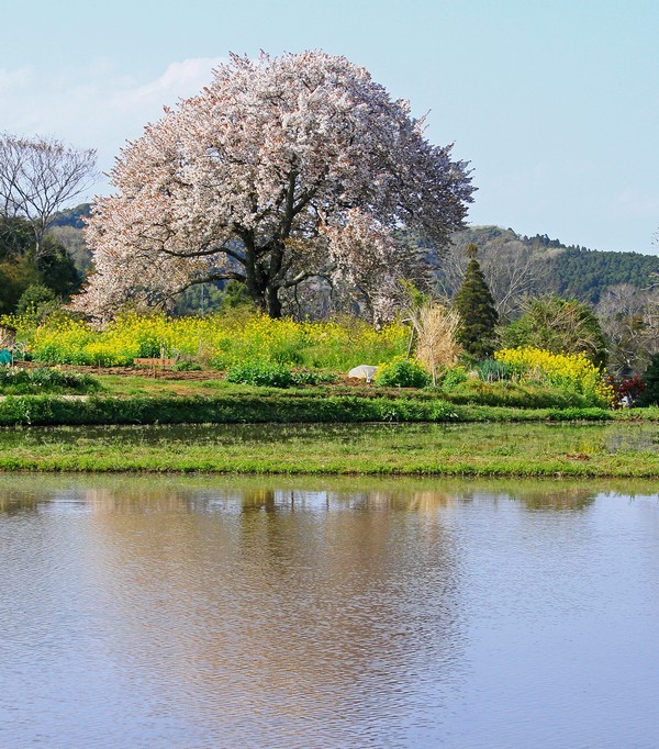 c0104227_92344.jpg