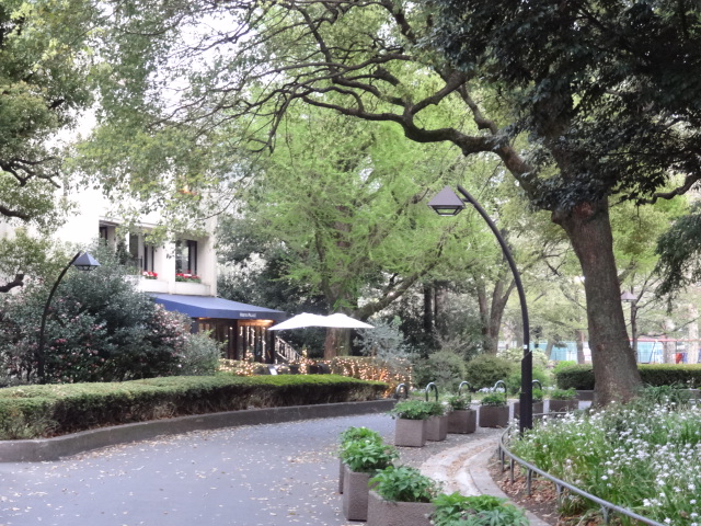 e0016828_115531.jpg