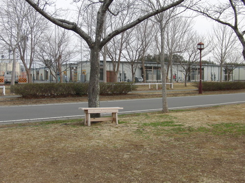 f0111128_122111.jpg