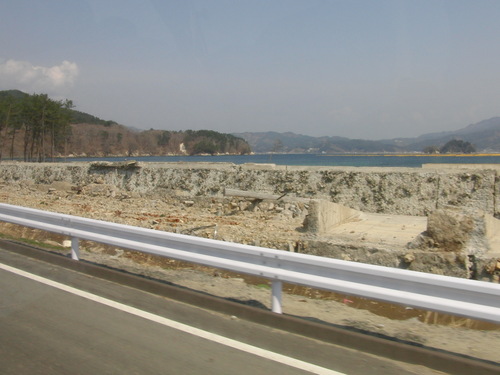f0111128_1335712.jpg