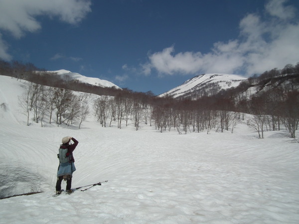 f0118332_2311292.jpg