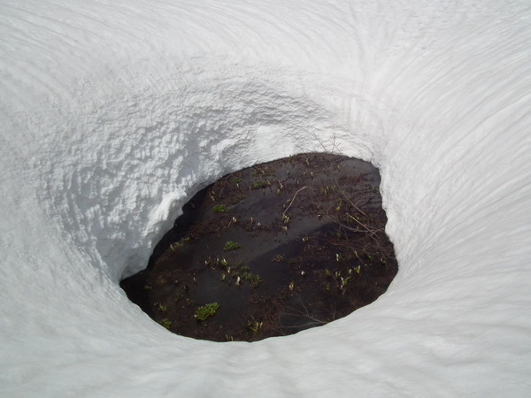 f0118332_231147100.jpg