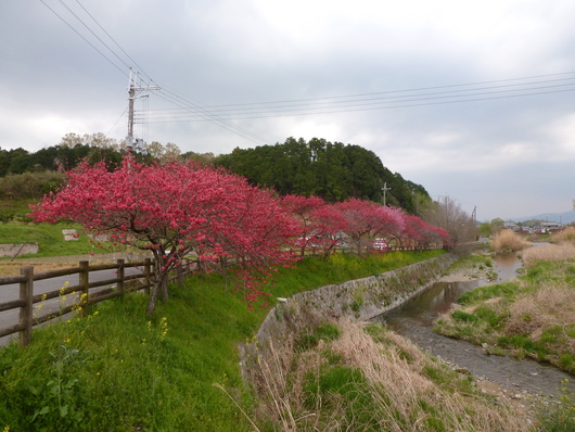 a0228333_22342465.jpg