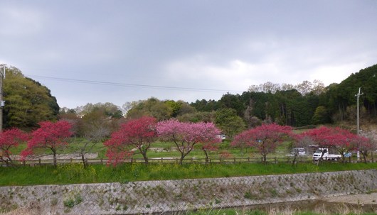 a0228333_22405569.jpg