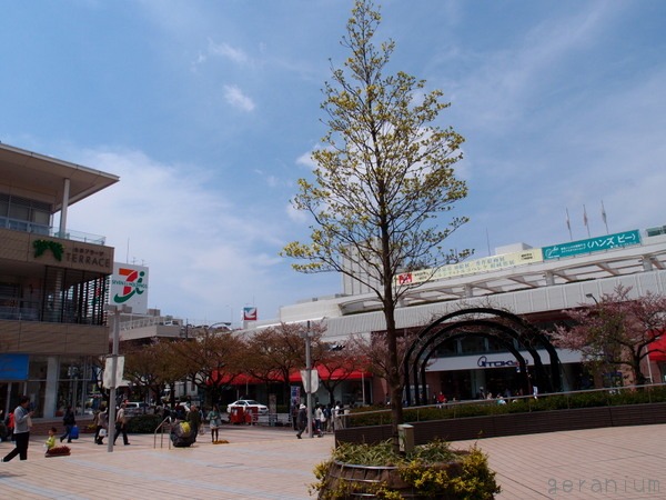 c0133533_165973.jpg