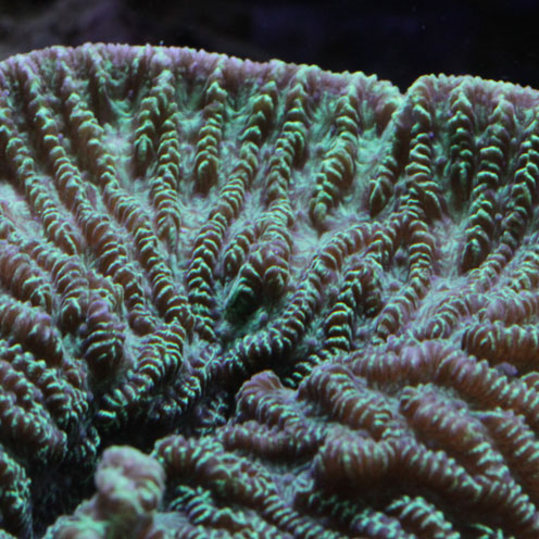 d0221436_22443354.jpg