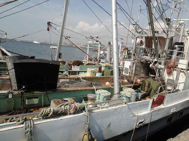 f0208737_8472997.jpg