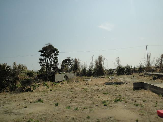 f0208737_8482947.jpg