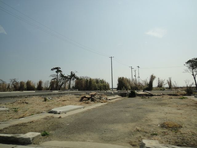 f0208737_8483919.jpg