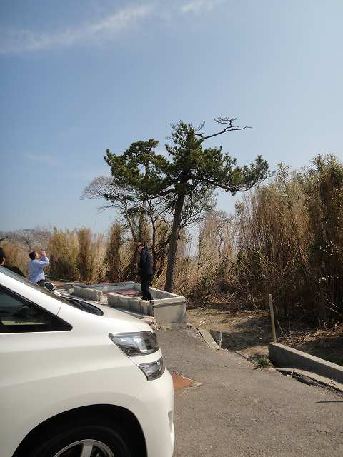 f0208737_8495324.jpg