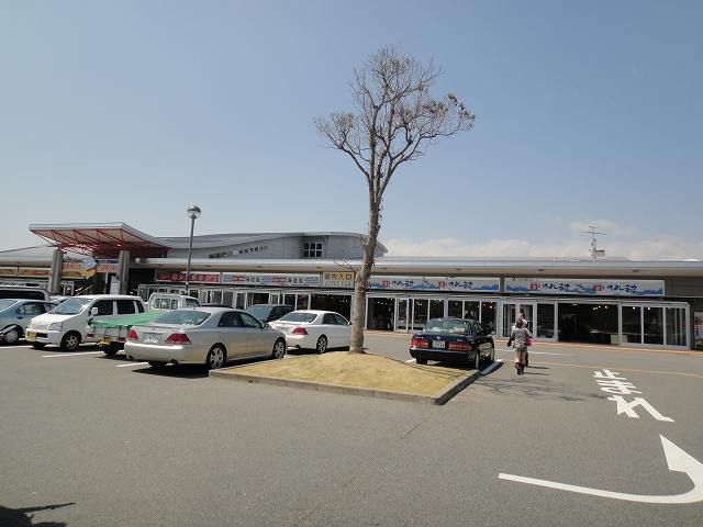 f0208737_854673.jpg