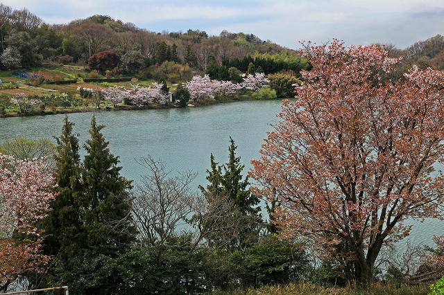 a0242438_18594324.jpg