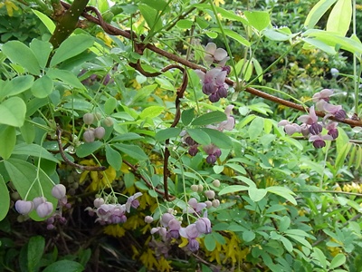 b0120541_22203334.jpg