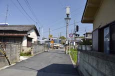 a0100742_8484860.jpg