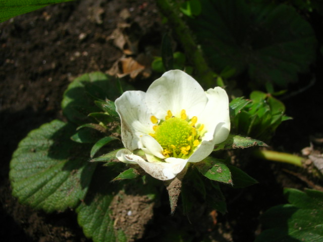 a0054043_16583981.jpg