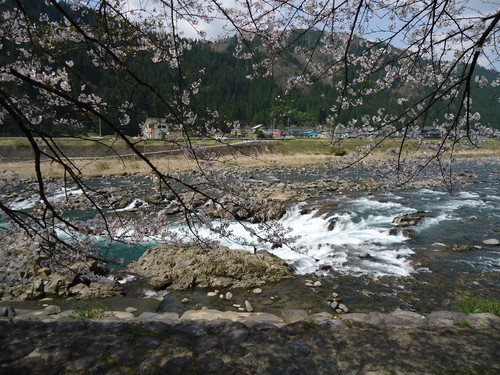 a0055650_1854849.jpg