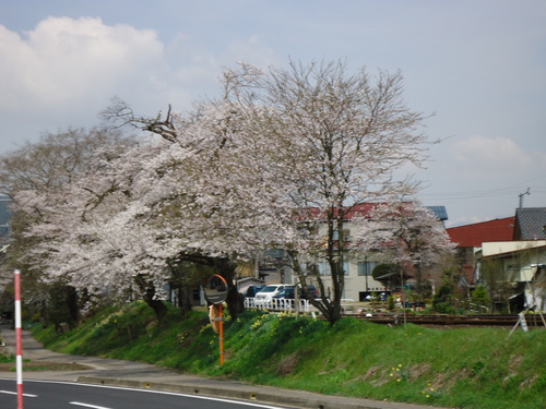 a0055650_194168.jpg