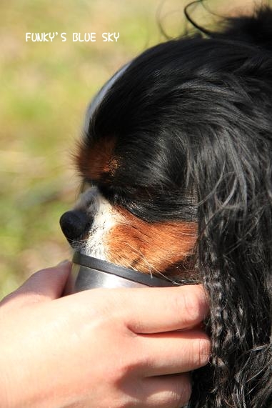 c0145250_17444116.jpg