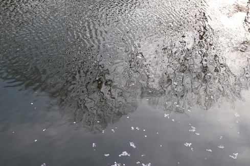 e0002850_0161069.jpg