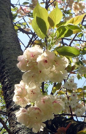 f0206452_1725579.jpg