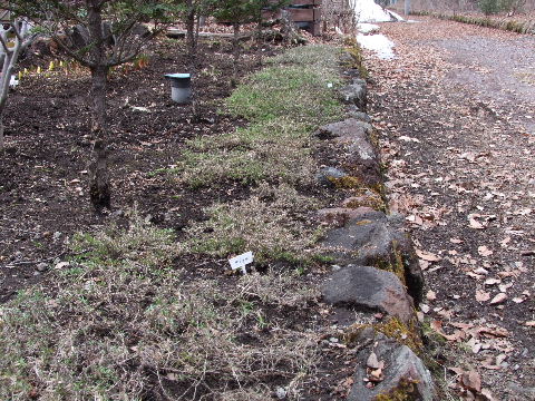 e0088260_1273044.jpg
