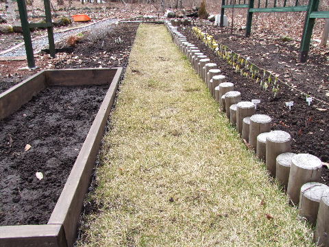 e0088260_1292877.jpg
