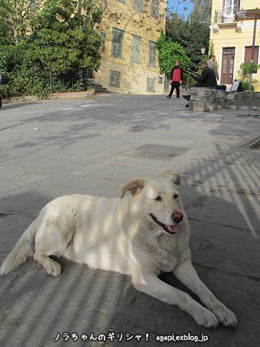 f0037264_20114095.jpg