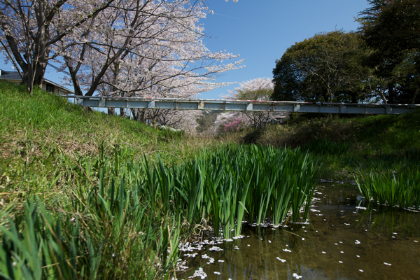 c0163369_952396.jpg