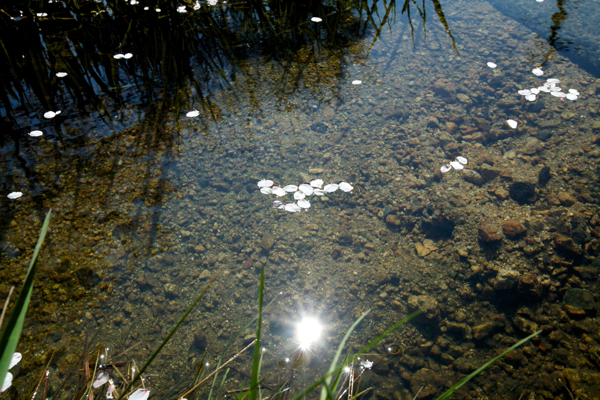 c0163369_953022.jpg