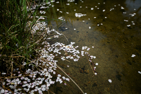 c0163369_9532626.jpg