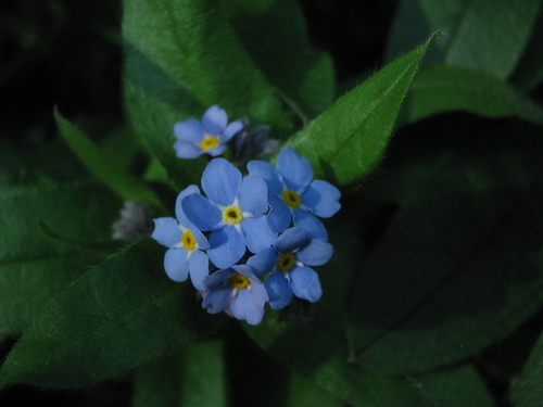 e0031572_176318.jpg