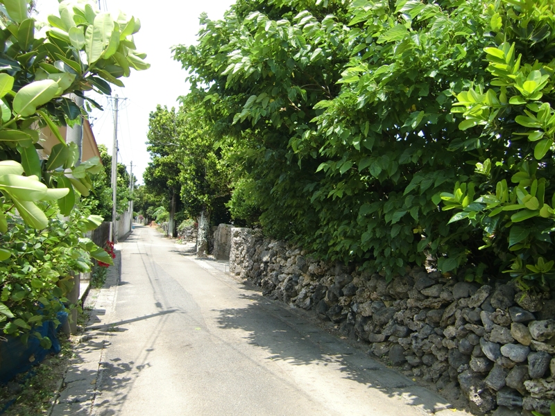f0238779_9301979.jpg