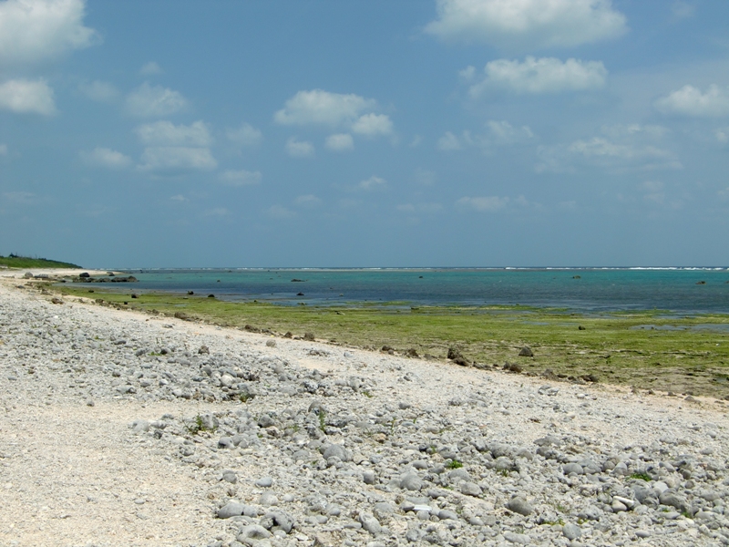 f0238779_9305084.jpg