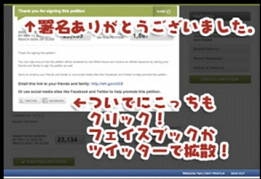 e0241684_16123829.png