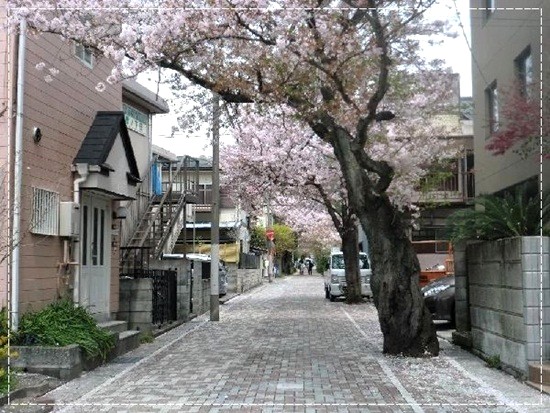 e0143690_12131690.jpg