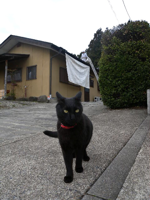 a0199297_11182391.jpg
